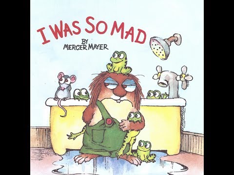 I Was So Mad (Little Critter)