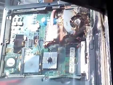 notebook com formigas