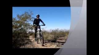 el amo del camino, rata blanca