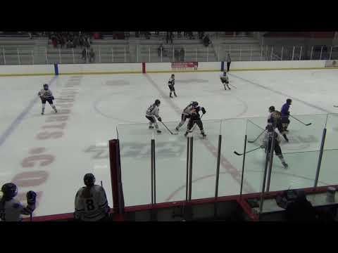 Bruins 14U 2019 01 19a vs U16 Wolverines