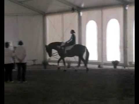 volteggio Verona Ippogrifo squadra L