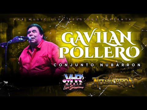 Conjunto Nubarrón - Gavilan Pollero (En Vivo)