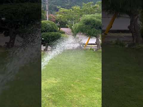 どうしたら綺麗な芝生になるのでしょうか？これらの実践的なヒントとアドバイスのおかげで、夢の芝生が手に入るでしょう。  庭園