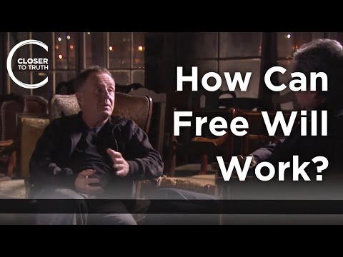 Colin McGinn - How Can Free Will Work?