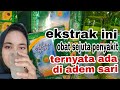 Review Adem Sari