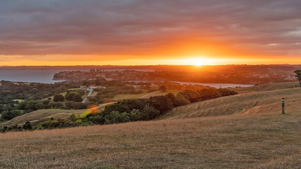 Enjoy panoramic views of Rangitoto Island, Tiritiri Matangi, and the city skyline.