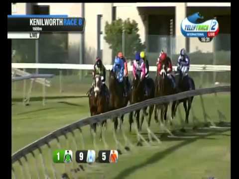 2015.05.03 Winter Guineas (RSA) - Act of War