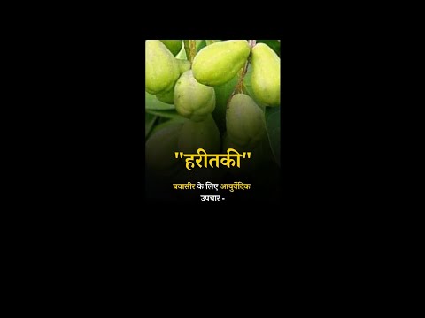 Ayurvedic Treatment for Hemorrhoids : Haritakiharitaki #harad #haradforpiles #haradbenefits