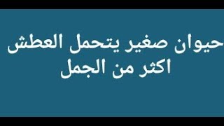نادي مدريدي منافس للريال مكون من 7 حروف تحميل اغاني مجانا