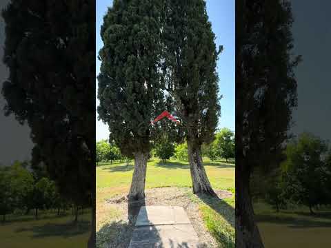 10 hectáreas con una plantación de 1250 pecaneros de alta calidad - Puerto Yerua-E.R