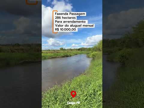 Allison Pereira, Corretor de imóveis rural, O corretor do Mato !