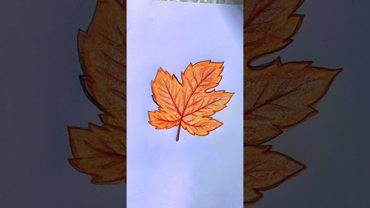 رسم ورقة الخريف 🍁.