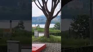 여주시민을 위한 열린음악회 Let me be there of Olivia Newton John. #열린음악회 #여주 #올드팝송 #홍경선 #신계행 #소리새 #pop  #팝칼럼니스트