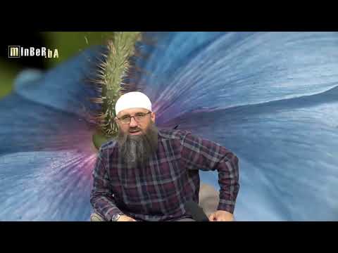 Propis klanjanja akike za djecu koja već imaju 5 i 3 godine - Elvedin Pezić