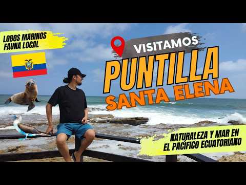🤯 EL RINCÓN MÁS EXTREMO DEL Ecuador | Reserva Puntilla Santa Elena - LOBOS MARINOS Y FAUNA LOCAL 🇪🇨