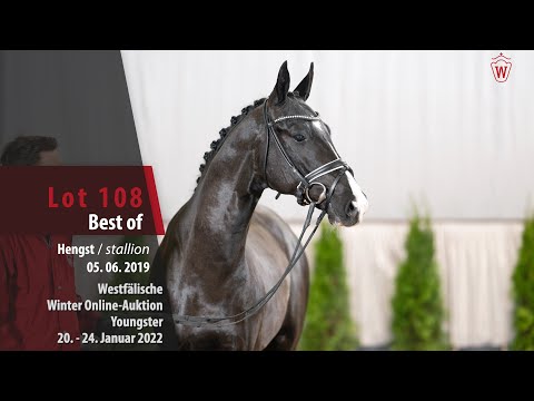 Online Winter-Auktion Lot 108 Best of Hengst v.  Bonds - Sandro Hit