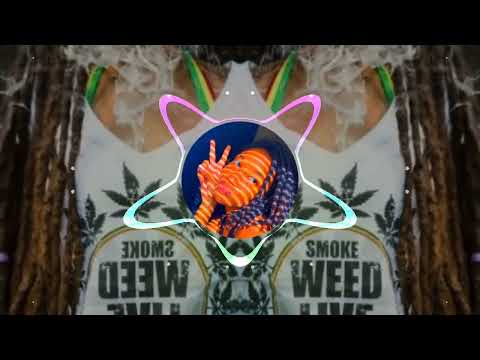 LAGU REGGAE TERBARU SOLOMON ISLANDS 2022 2023 BIZMAC