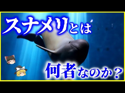 Nuvola アプリ kpercentage.png