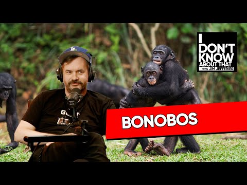A Bonobos isn't a Chimp?? | I Don't Know About That with Jim Jefferies #204