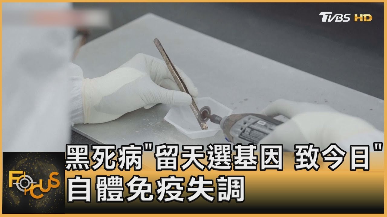 黑死病留天選基因 致今日「自體免疫失調」