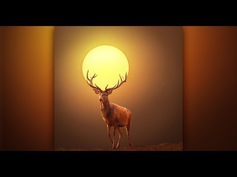 Deer of Sun Photoshop Manipulation Photoshop CC Tutorials