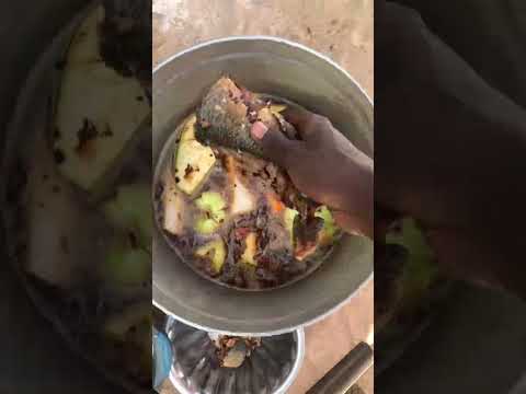 😂😂Daouda ak Thiébou Diene bi #funny #youtubeshorts #senegal #comedy #actualité