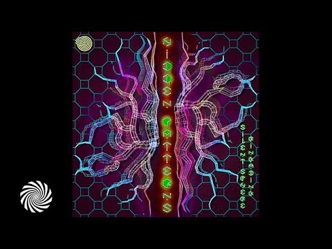 Rinkadink & Silent Sphere - Hidden Patterns