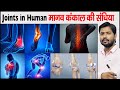 मानव शरीर की संधि Joints In Human Skeleton Joints Of Body Joints Of Bone