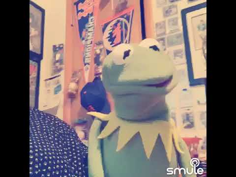 Muppets Rainbow Connection (Kermit The Frog Cover)