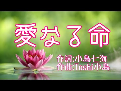 哲学科 『愛なる命』音開きでよく歌います。