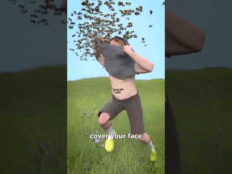 How To Survive A Swarm Of Bees 😱