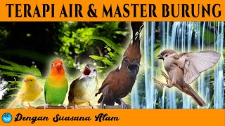 Download lagu Terapi Air & Masteran Burung SUASANA ALAM mp3