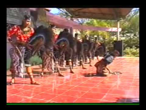 Turonggo safitri putro