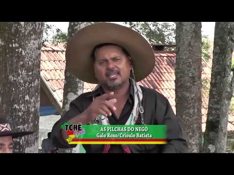 As pilchas do nego - Crioulo Batista & Grupo Cambicho ao vivo programa Tchê Brasil