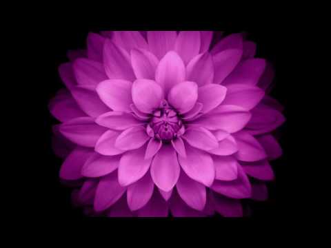 Liz project & Disiber