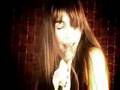 Warren Suicide- Signal