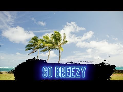 Brett Engel / Steve Sechi - So Breezy (Mambo Trap)