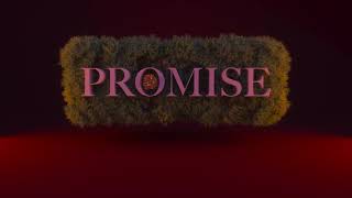 Promise Music Video