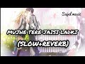Mujhe Tere Jaisi Ladki Slow Reverb Udita Narayan Raaz Movie Song ️ ️ ️