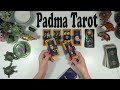 VIRGO ️NEW POINT OF VIEW MAKES THIS POSSIBLE SEPTEMBER 22ND 28TH CAREER FINANCES Weekly Tarot