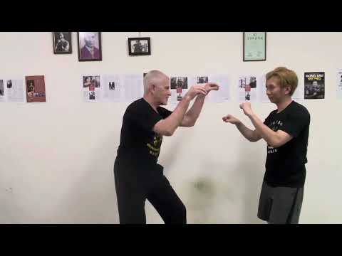 ‘WSL Ving Tsun Kuen Hok’ - breaking it down #27 - ‘Seung Gaan Sau’