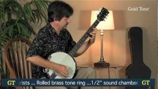 Gold Tone CC-Banjitar