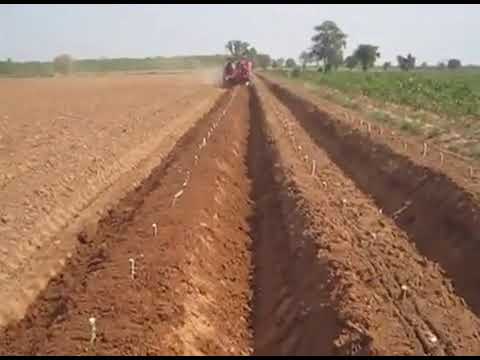 Cassava Planter Machine at ₹ 575000 | Planter Machine in Mumbai