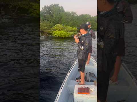 Pescaria na região de São Sebastião do Uatumã, no coração do Amazonas!