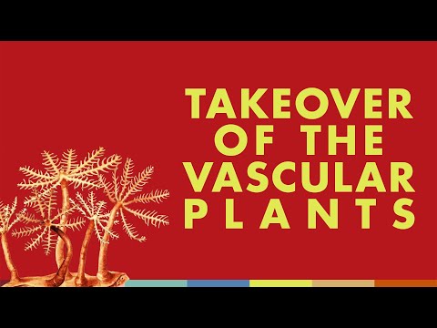 Takeover of the Vascular Plants