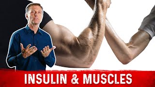 Does Low Carb and Low Insulin Cause Low Muscle Mass?
