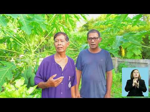 คลังปัญญาผู้สูงอายุ EP3 - ด้านการพัฒนาสังคมและชุมชน