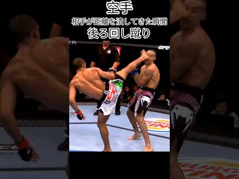 ＃空手　＃テコンドー　＃後ろ回し蹴り　＃回し蹴り　＃蹴り　＃総合格闘技　＃MMA