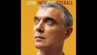 David Byrne - The Great Intoxication