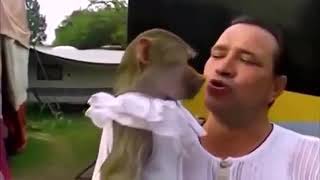 Новинки приколы 2018 самоэ лудшее